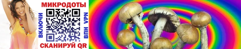Псилоцибиновые грибы Cubensis  Купить где  Усолье 